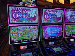 28-may Slots